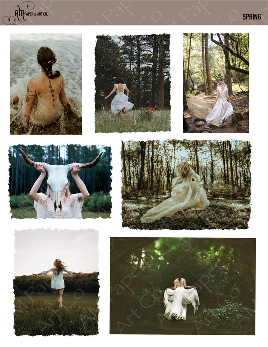 Spring (photo) Stickers