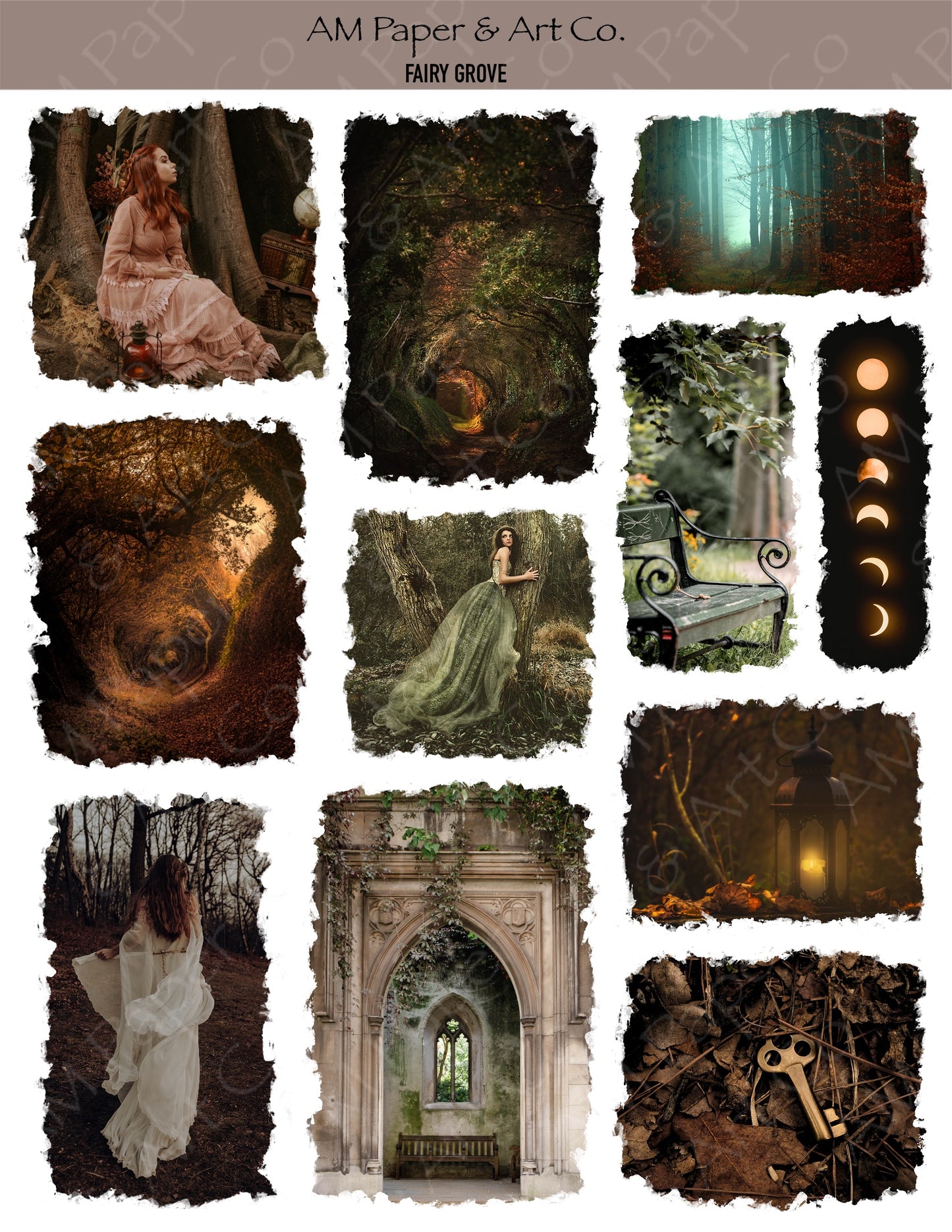 Fairy Grove (photo) Stickers
