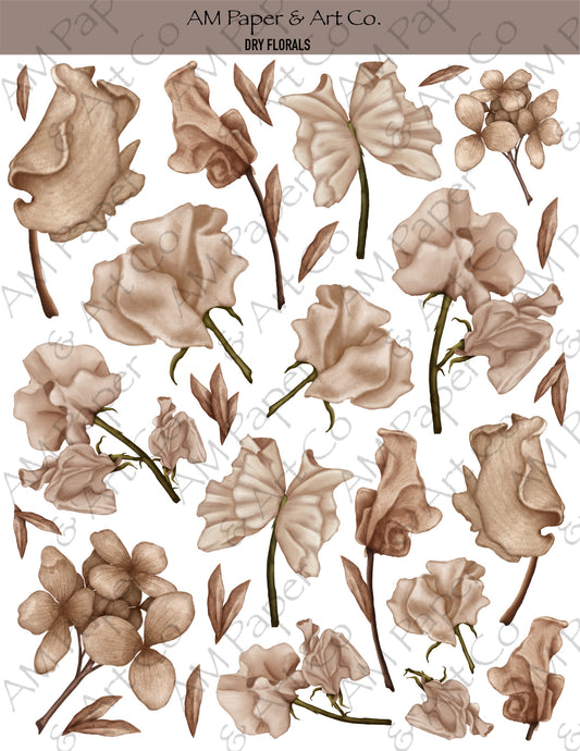 Dry Florals Stickers (3 Colour Options)