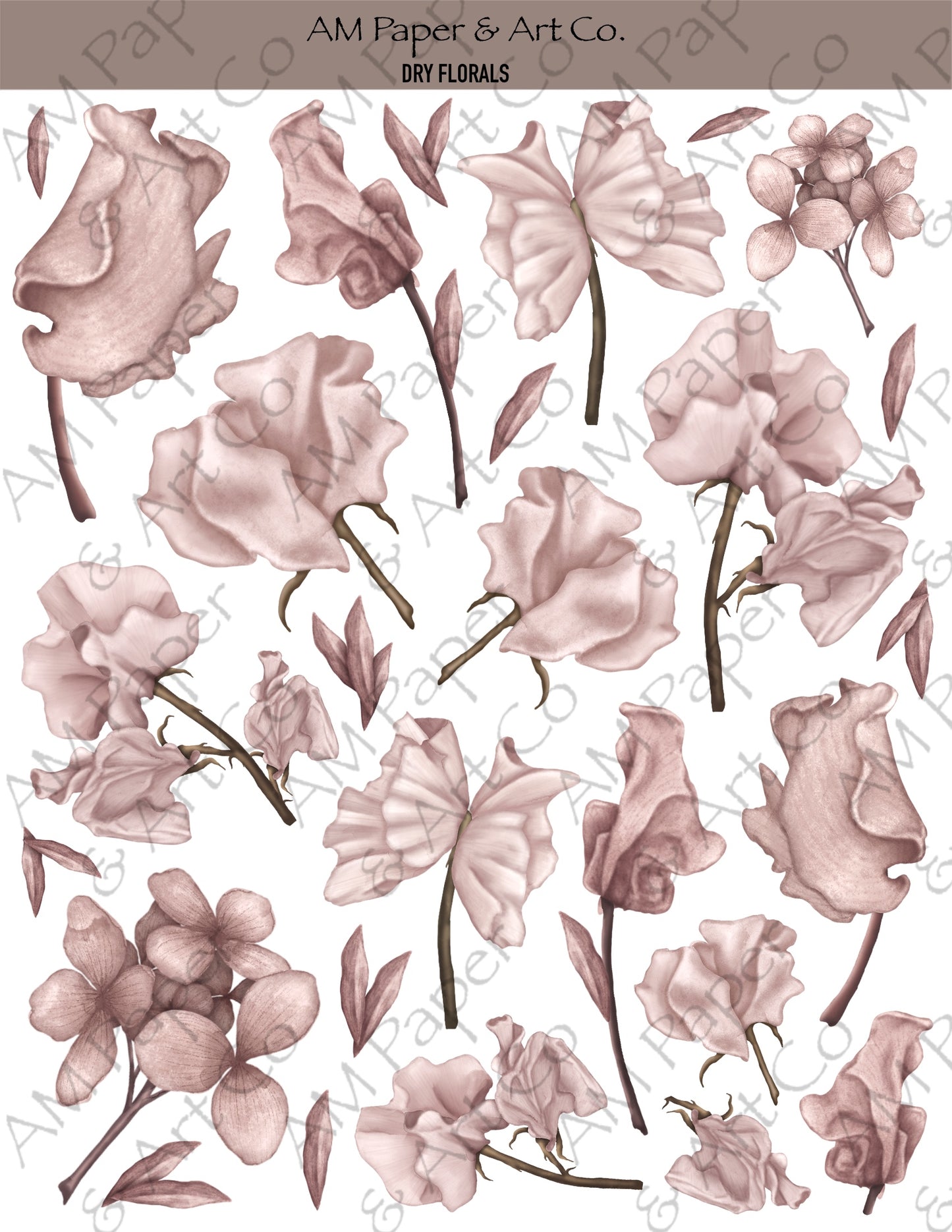 Dry Florals Stickers (3 Colour Options)