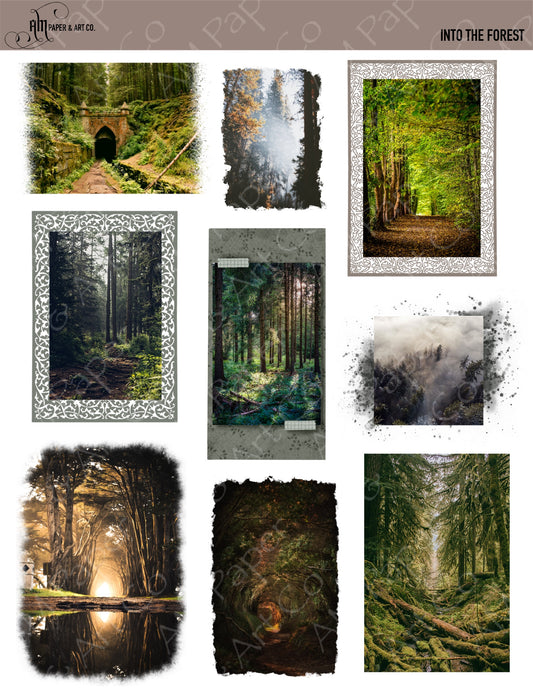 Into the Forest (photo) Stickers