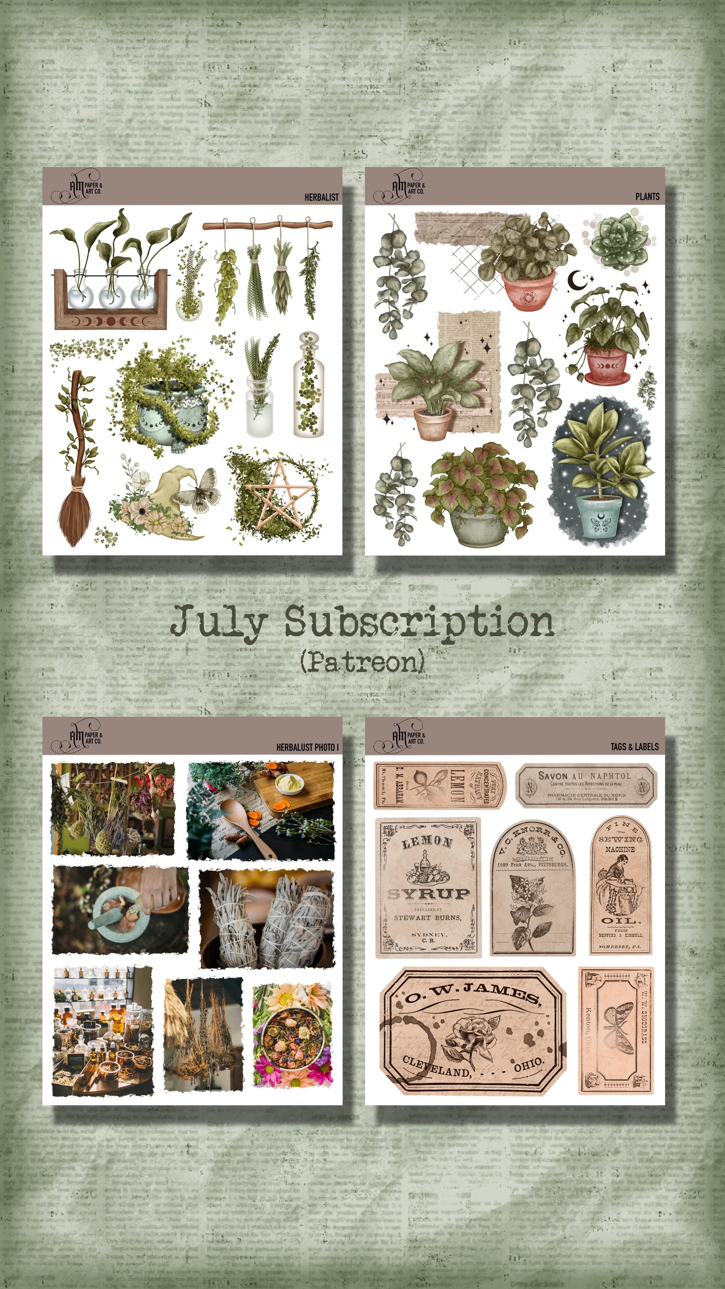 Monthly (Patreon style) Subscription - July 2024