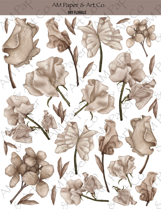 Dry Florals Stickers (3 Colour Options)