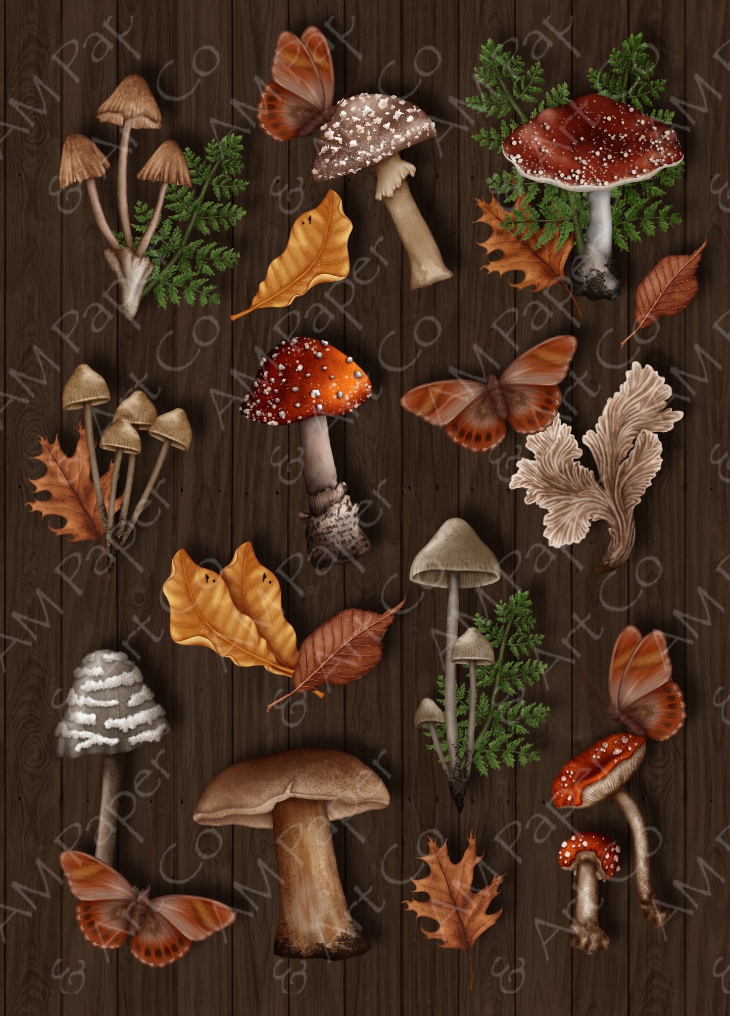 Maryann's Mushrooms Art Print/Postcard