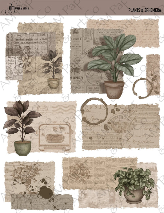 Plants & Ephemera Stickers