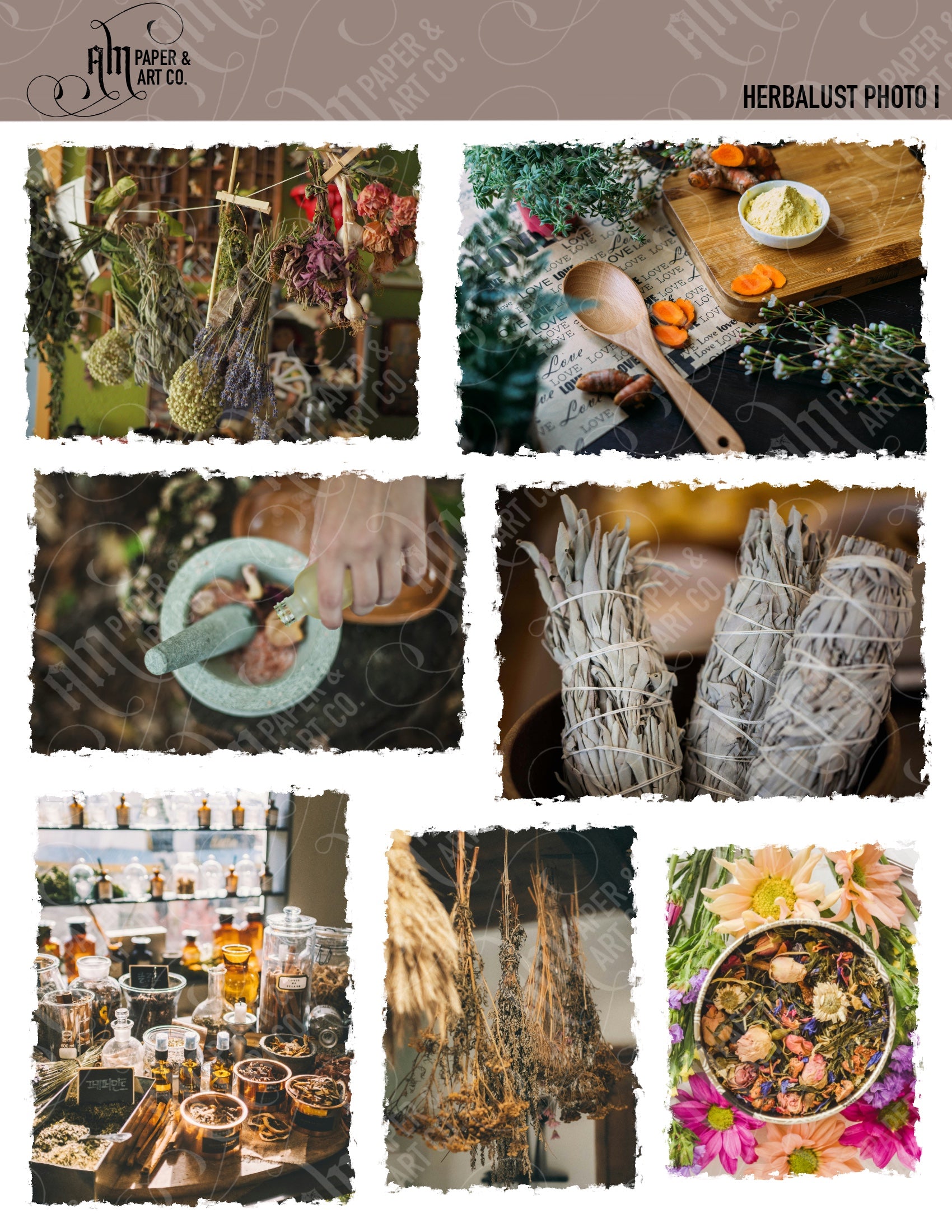 Herbalist Photo I Stickers