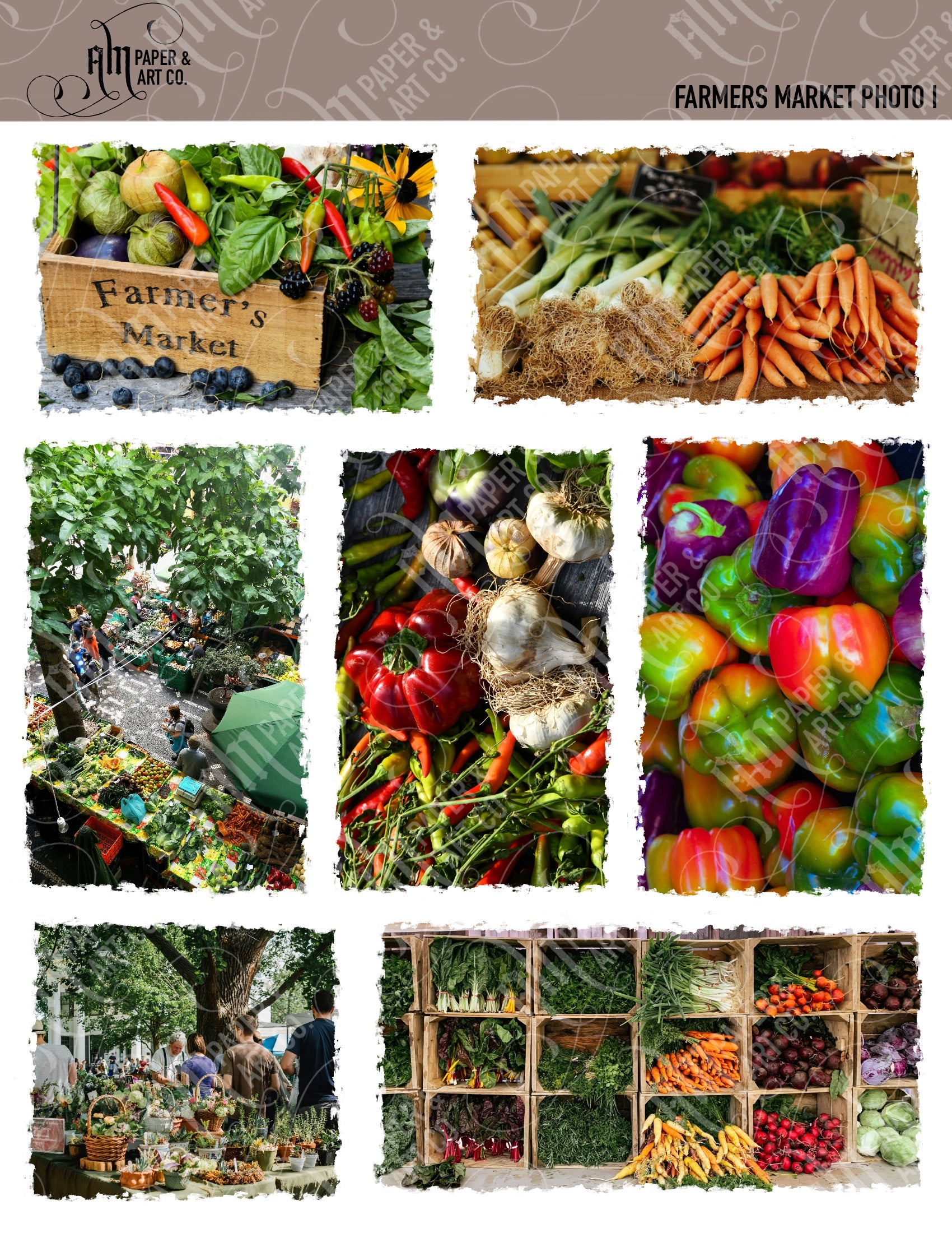 Farmers Market Photo I Stickers