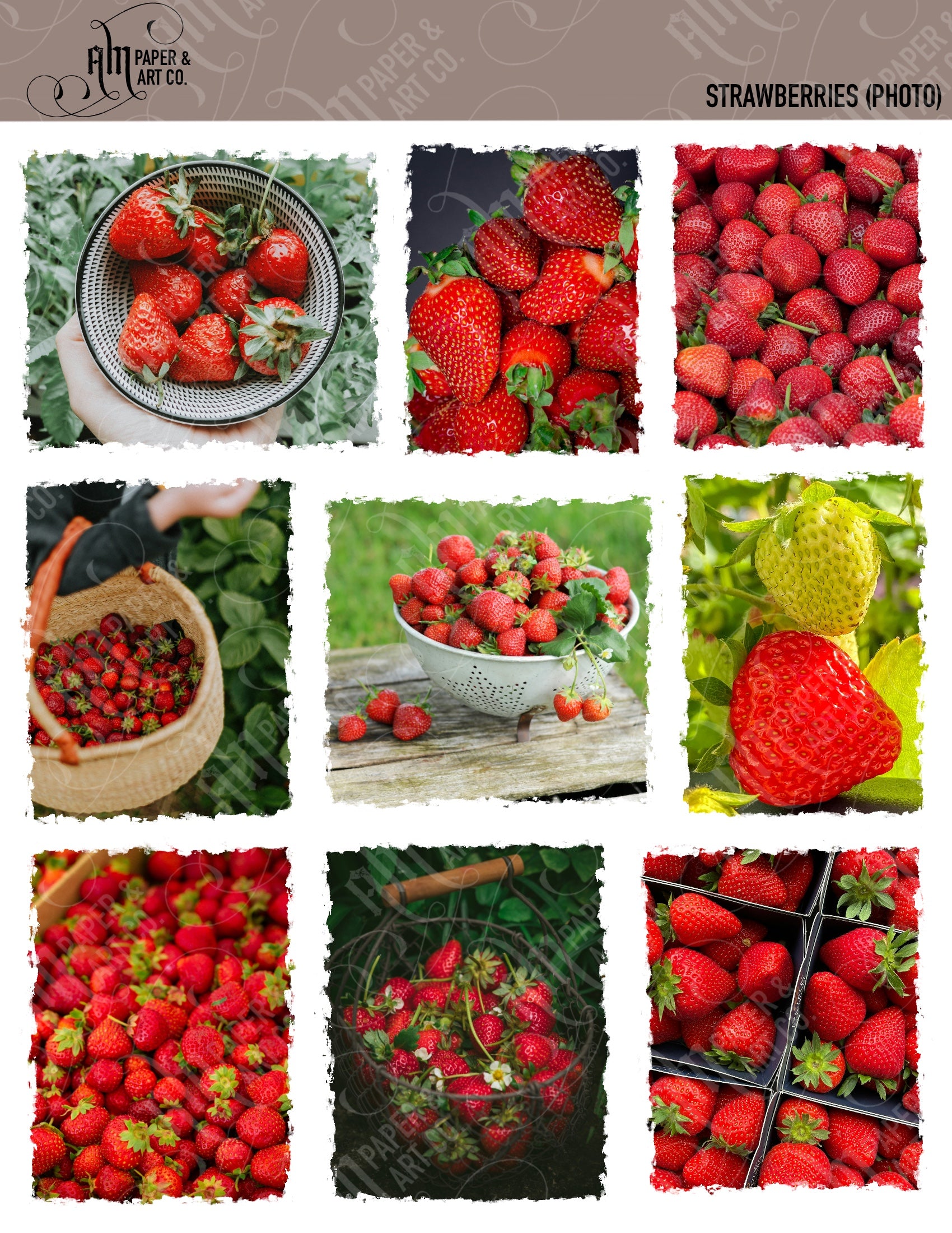 Strawberries (photo) Stickers