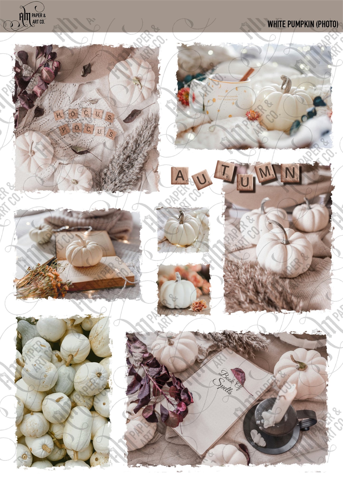 White Pumpkin Photo Stickers