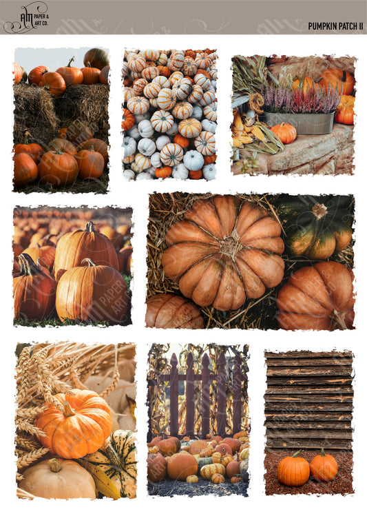 PRINTABLE: Pumpkin Patch II (Photo) Printable Stickers