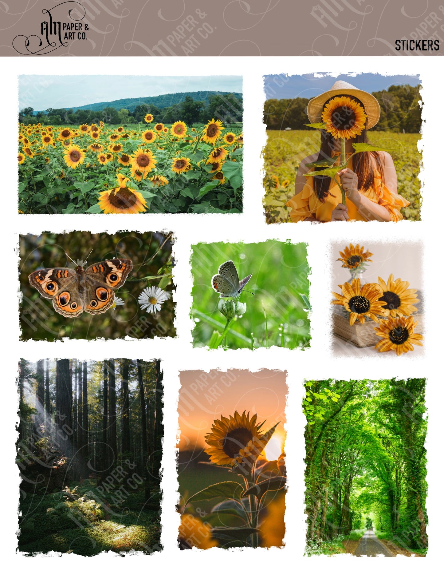 Sunflower Photo Stickers